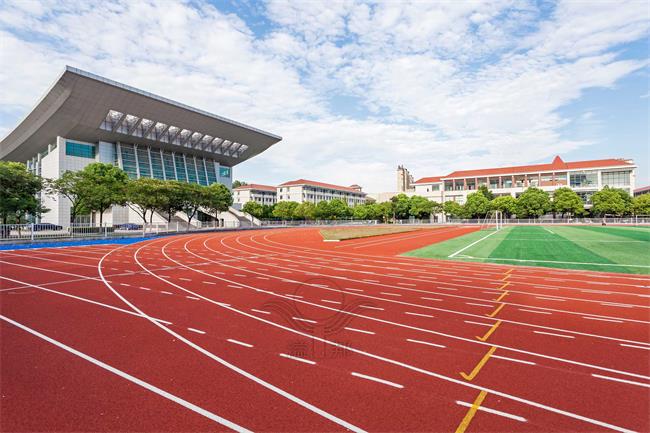 全塑型SPU跑道：匠心塑造，高制度严要求的运动传奇
